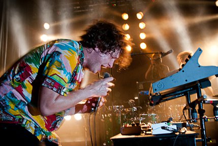 the wombats
